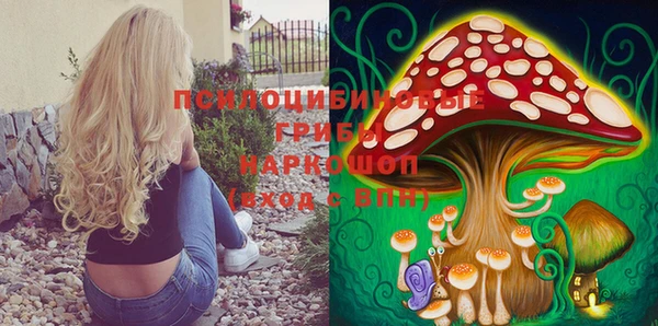 кокаин Дмитриев
